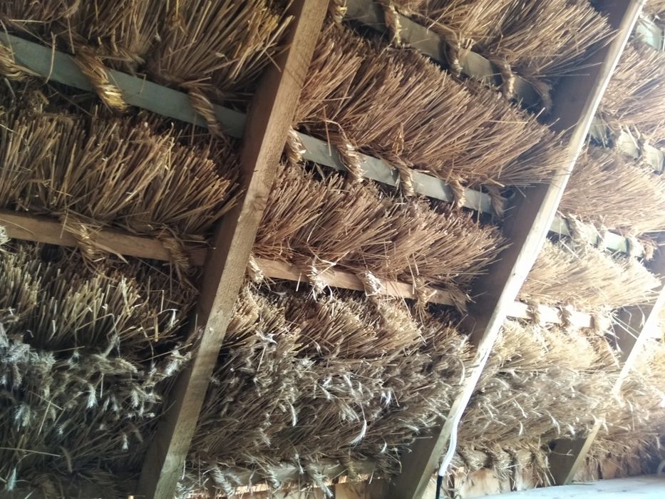 Słoma żytnia prosta