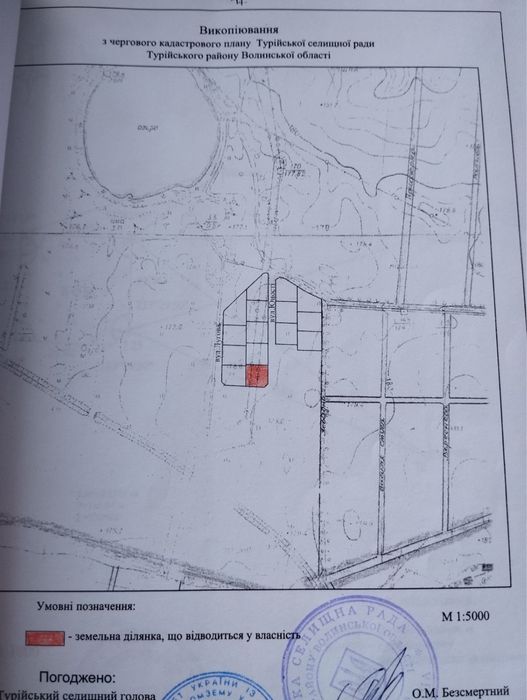 Земельна ділянка в с.Дольськ, Ковельського р-н