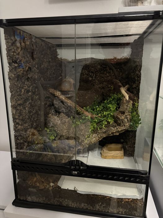 Terrarium 45x45x60