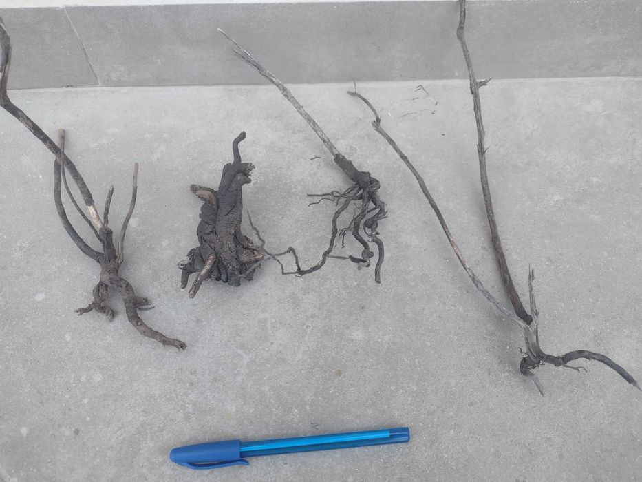 Botânicos e Troncos para Aquário (faço envios)