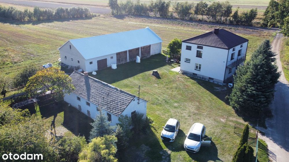 Dom – Korona - Widok 3