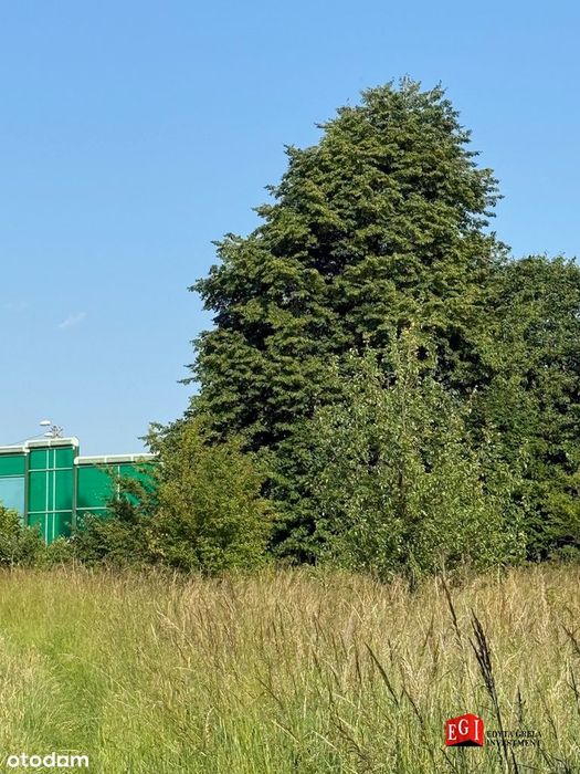 Działka inwestycyjna_Sarnów_powiat będziński_woj. śląskie - Więcej