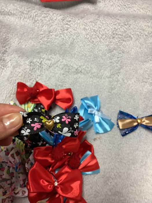 Laços e Gravatinhas para PET