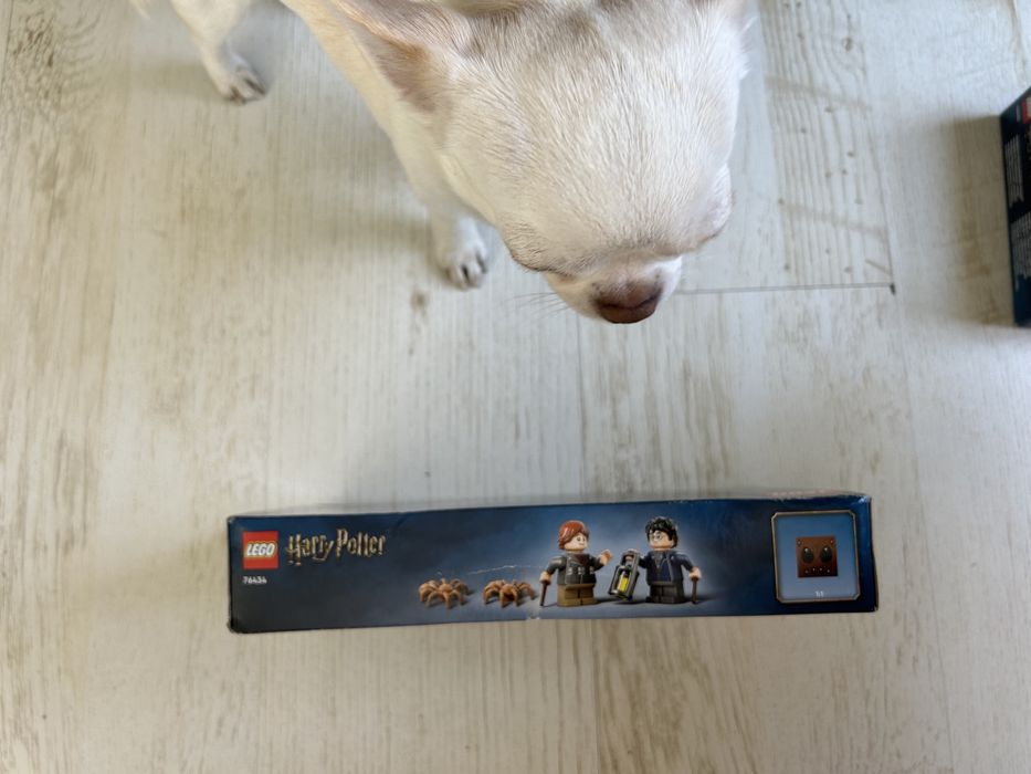 2x LEGO 76434 Harry Potter Aragog w Zakazanym Lesie