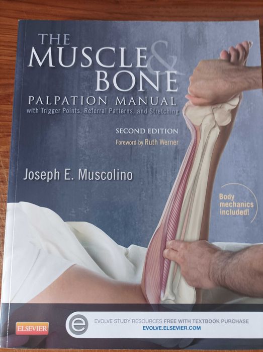 The Muscle Bone - Palpation Manual - Joseph E. Muscolino
