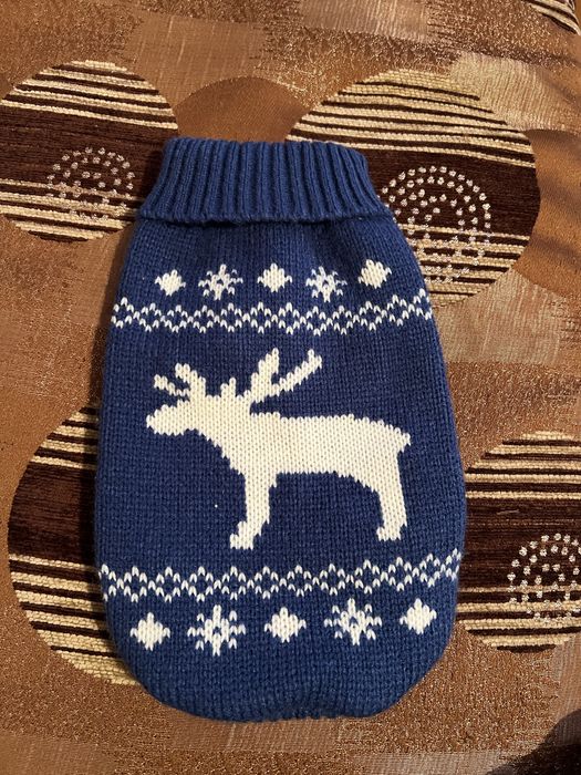 Одяг для собак