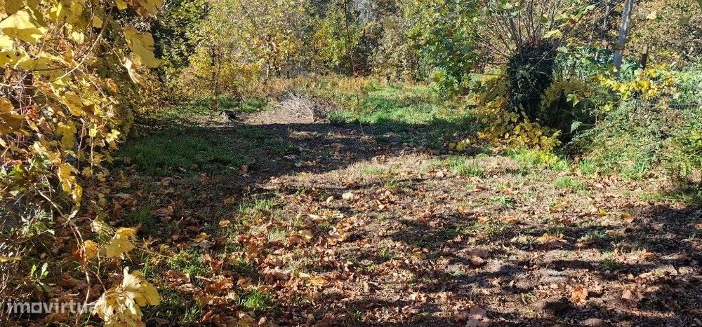 Terrenos Rústicos - Cantelães