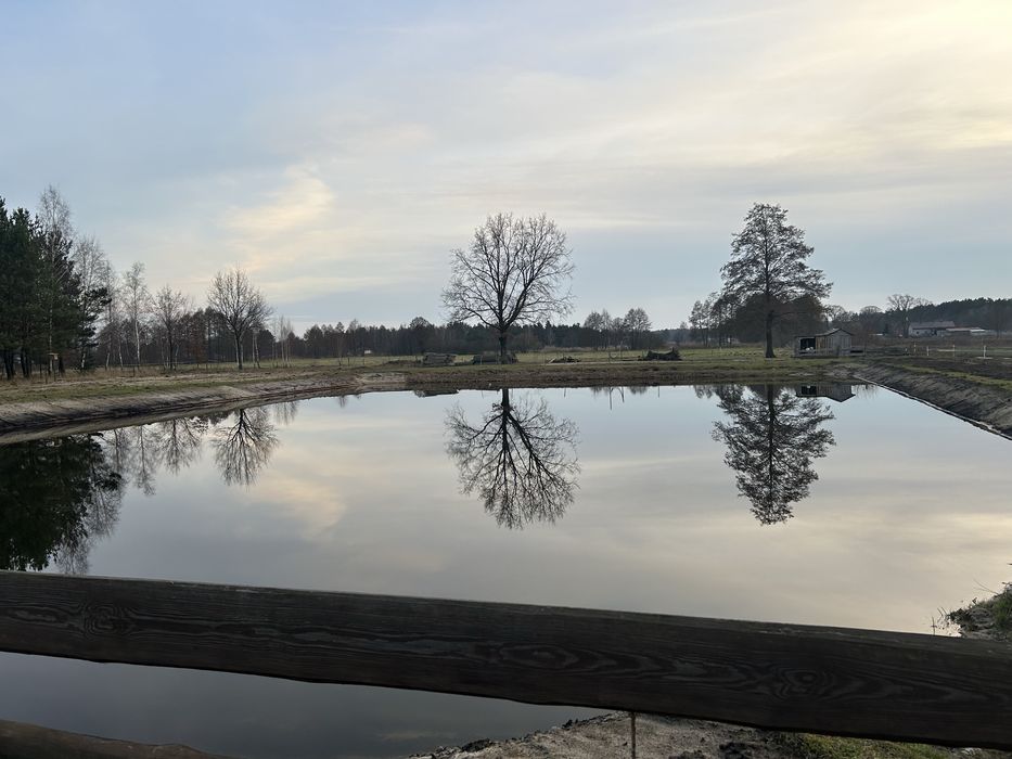 Domek nad stawem