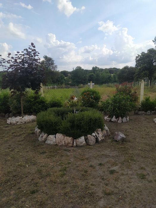 Oportunidade excelente-Quinta/Finca em Espanha fronteira com Portugal