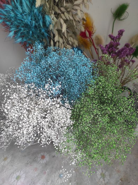 Сухоцвіти Сухоцветы   вейник    скабіоз  гіпсофіла