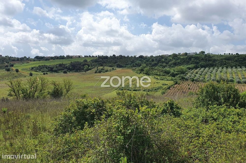 Terreno Rústico 6.840m2 Azambujeira Rio Maior Santarém