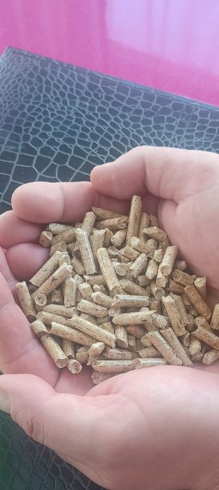 Pellet sosnowy certyfikat A1 jakość Premium