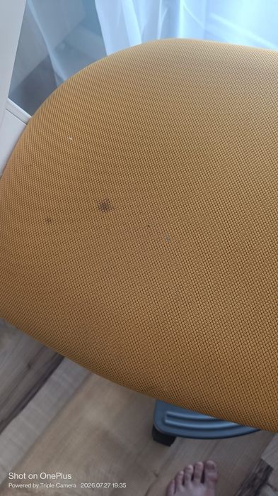 Krzesło fotel obrotowy Rookee Honey