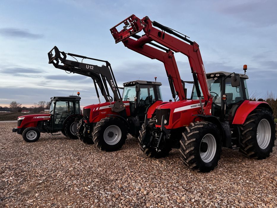 Massey Ferguson 6465 Ładowacz Tuz 2012 Rok Silnik Sisu Miękka Oś 6480