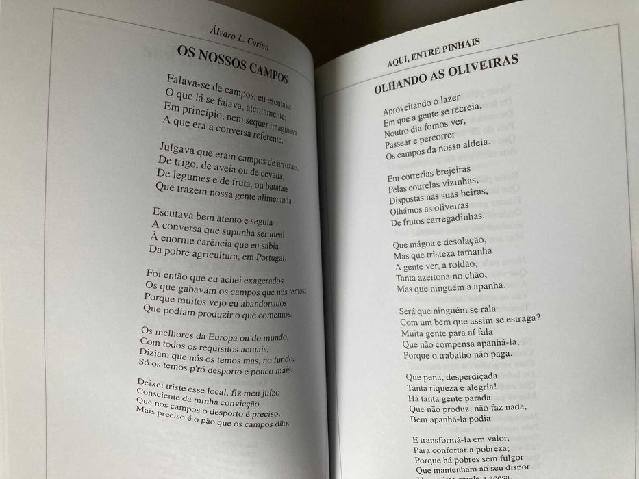 Aqui, Entre Pinhais, de Álvaro Lopes Corino