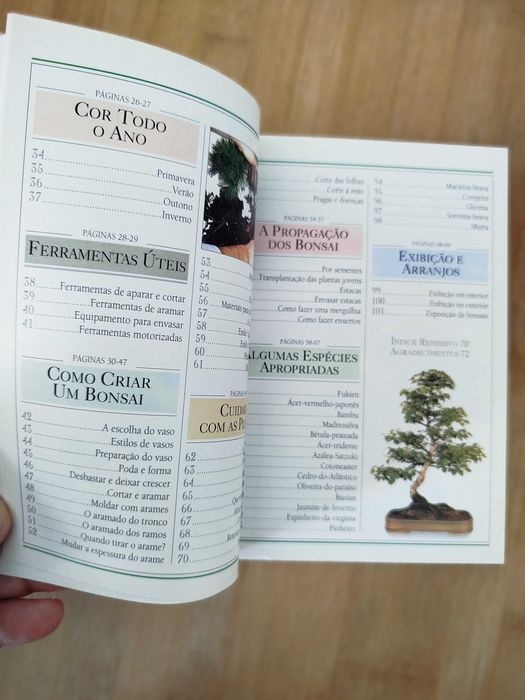 Bonsai Aprenda tudo em poucas linhas - Harry Tomlinson