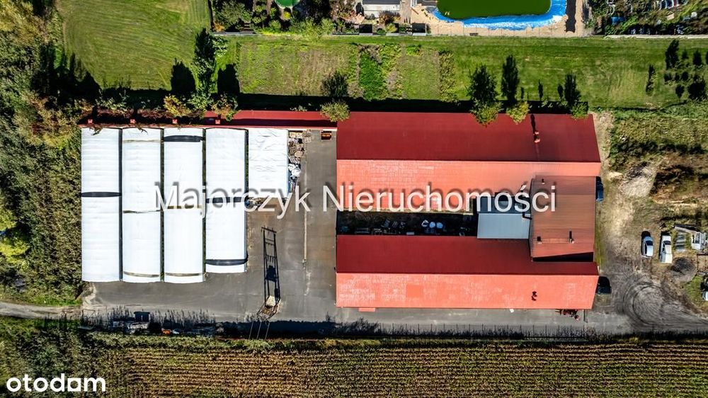 Duża nieruchomość inwestycyjna - Włoszakowice - Widok 3