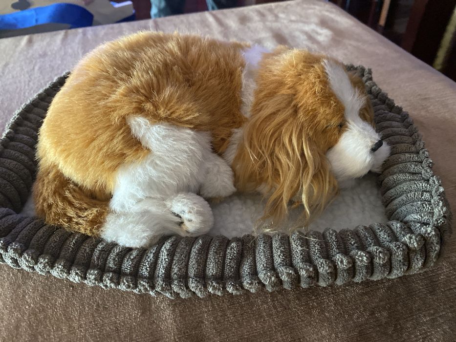 Cão de peluche que ronca