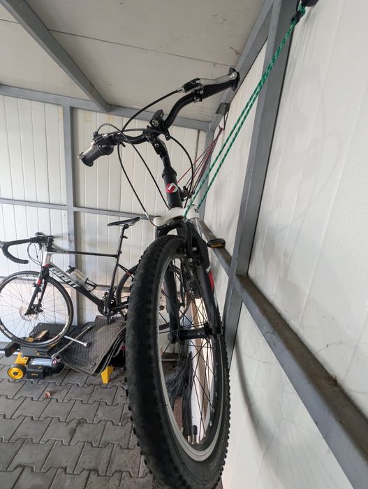 Unibike pilot 20''
