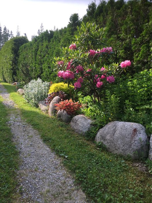 Садовник, которого вы искали!