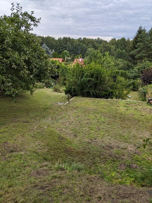 działka ROD Cyranka - Widok 3