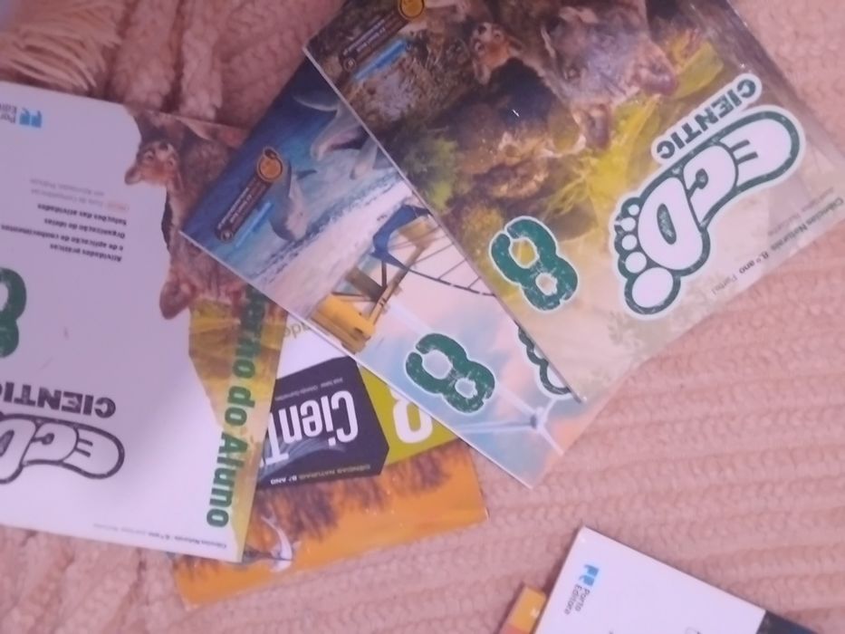 Manuais e livros de fichas do 8°ano