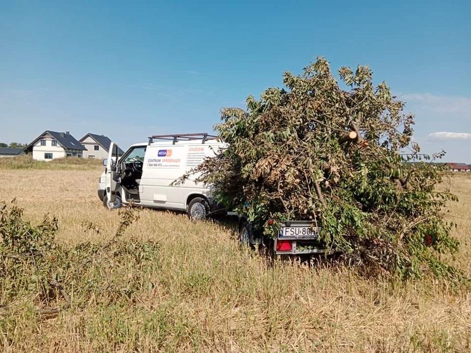 Koszenie trawników, wertykulacja, czyszczenie rynien, wycinka drzew