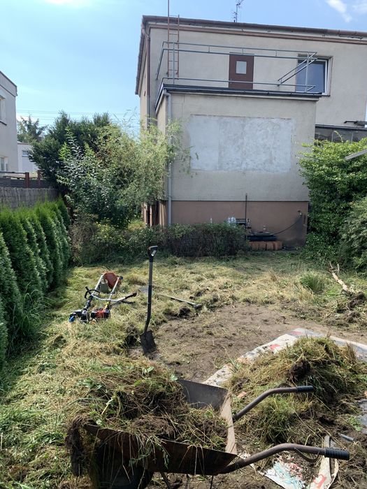Wycinka drzew Frezowanie korzeni Wertykulacja ogrodnik  wywóz gałęzi przycinanie trawa z rolki