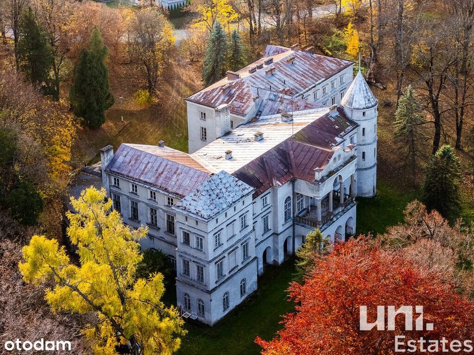 Wyjątkowy Pałac Ostaszewskich | Wzdów | Okazja