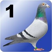 Naklejki na cele lęgowe