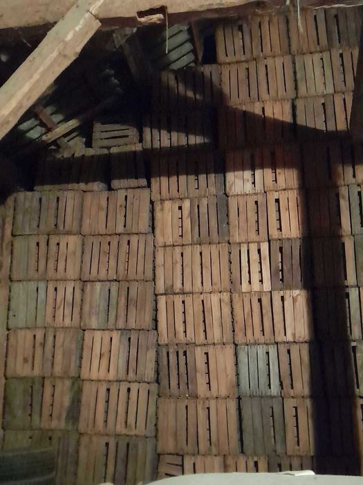 Klatki jedynki w bardzo dobrym stanie