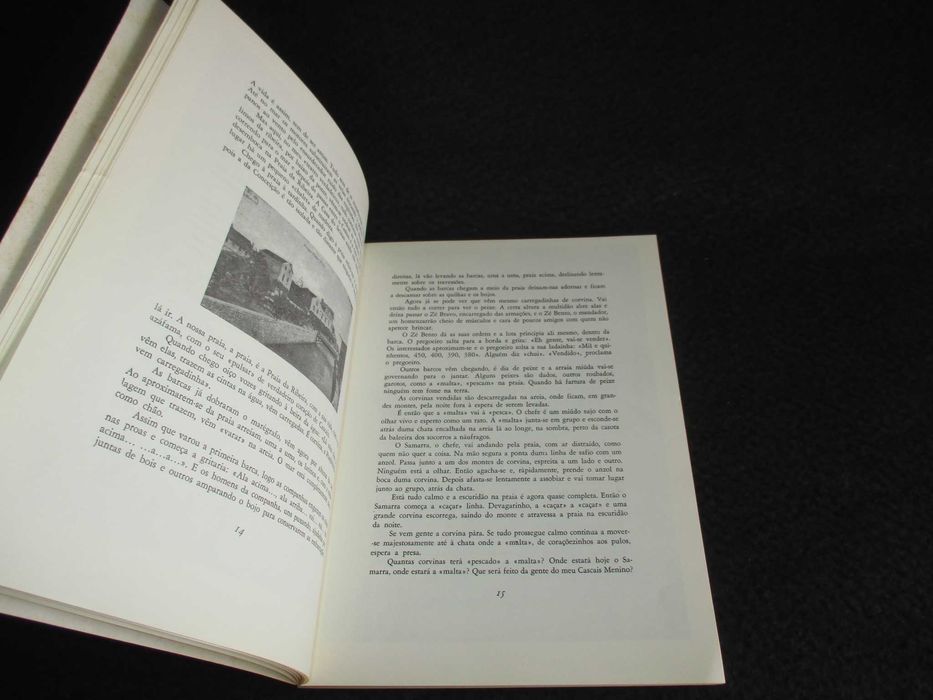 Livro Cascais Menino Pedro Falcão