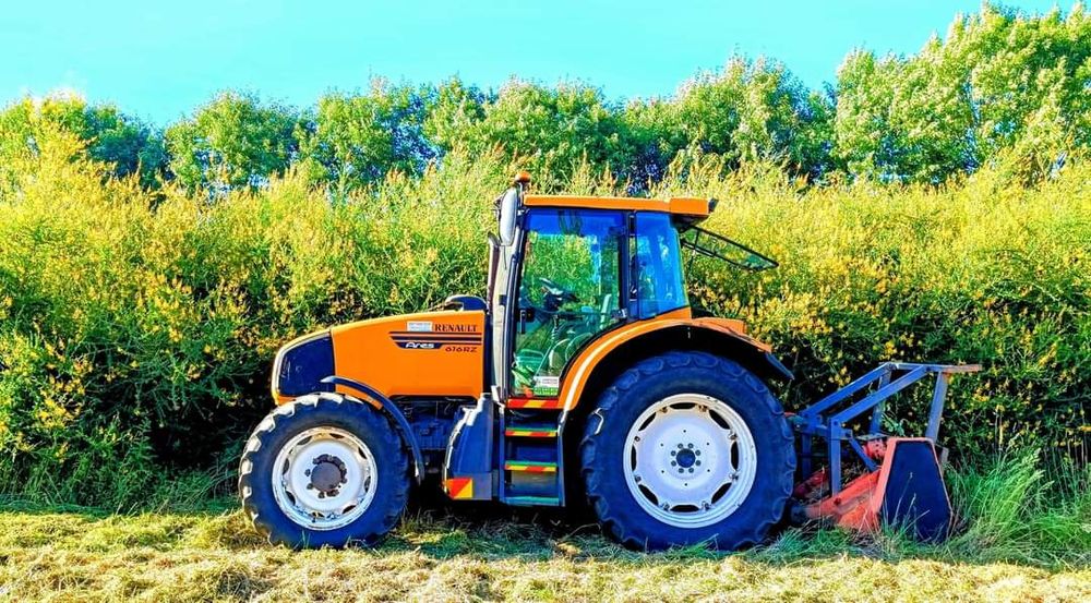 Limpeza terrenos silvicultura limpeza florestal