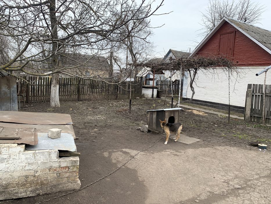 Продам дім біля Києва в с.Кодаки