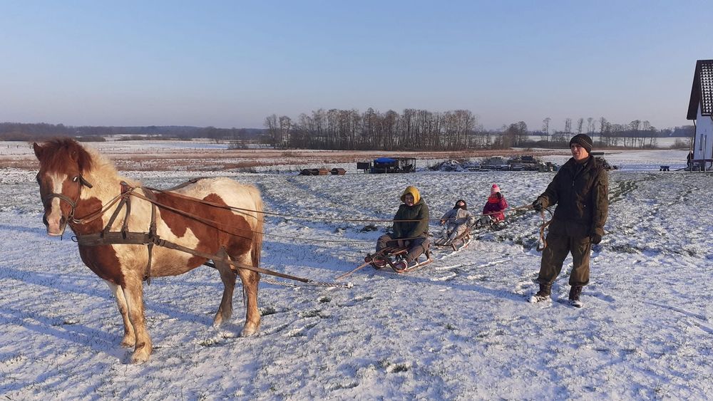 Sprzedam kucyczke bardzo spokojna