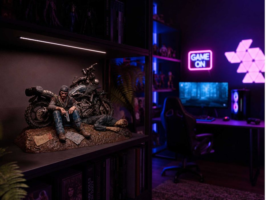 Колекційне видання Days Gone Collector’s Edition PS4