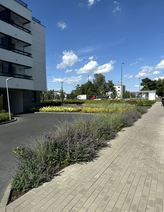 Wynajmę podziemne miejsce parkingowe