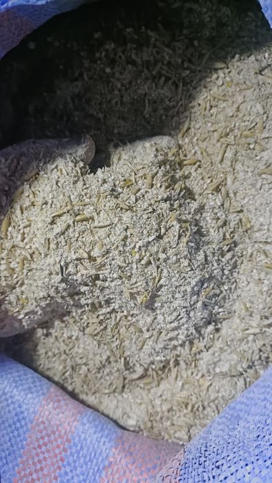 Pasza śruta karma dla kur niosek gęsi kaczek