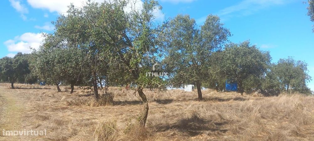 Terreno rústico com aproximadamente 70.000 m2  (7 hectares) para venda
