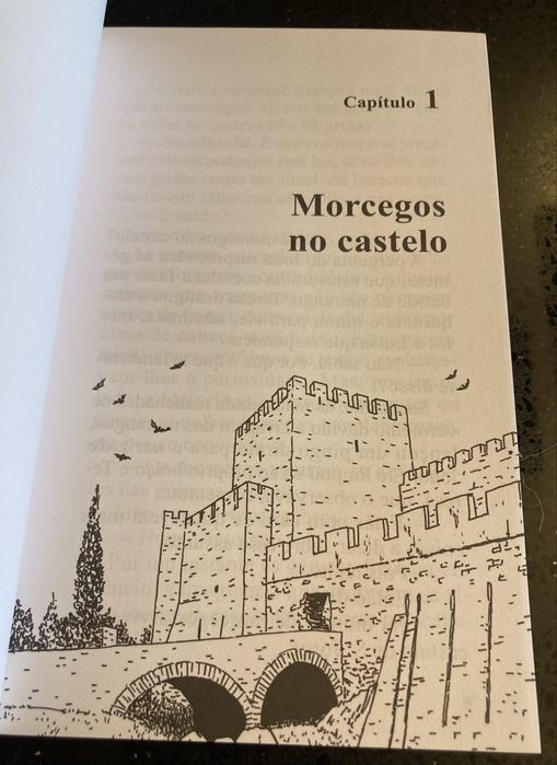 Livro “Uma Aventura no Castelo dos Três Tesouros”