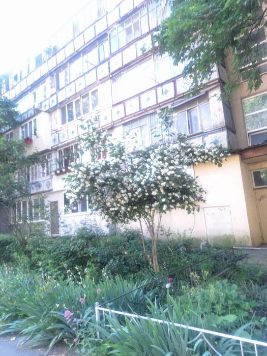 Продам Гостинку 2/5, на Александрийской 19