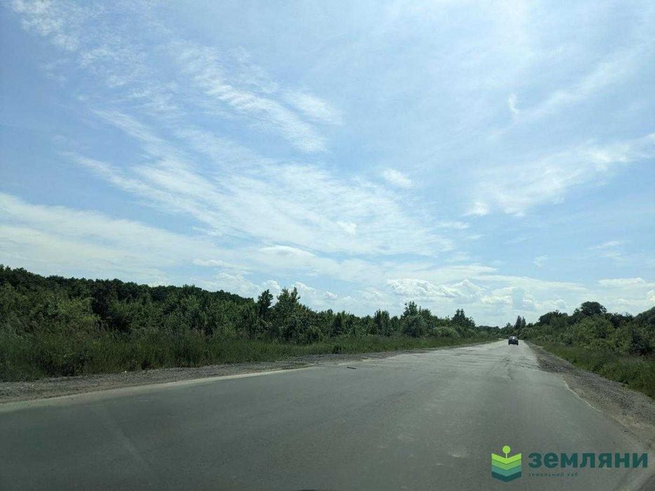 Продаж землі 1 га біля траси Тисмениця-Хом'яківка (5)