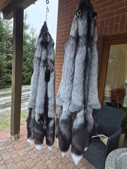 Skóry z lisa srebrnego