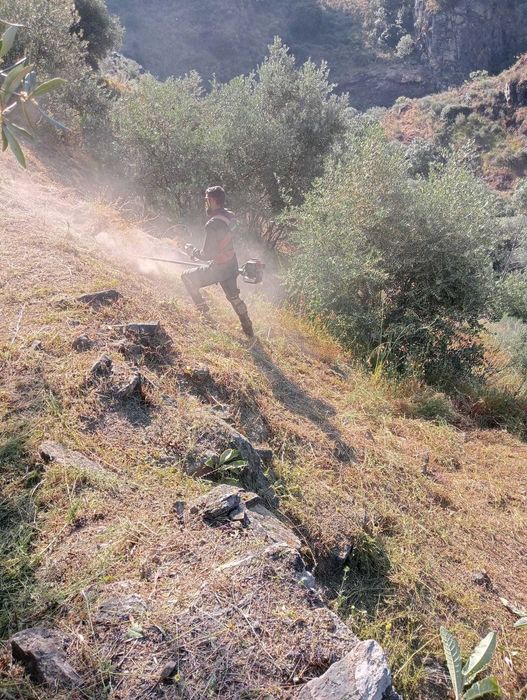 Prestação de serviços