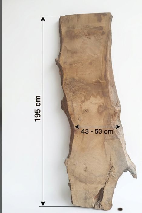 Monolit dębowy195 cm – Blat na stolik kawowy, ławę (SUCHY, 6 cm