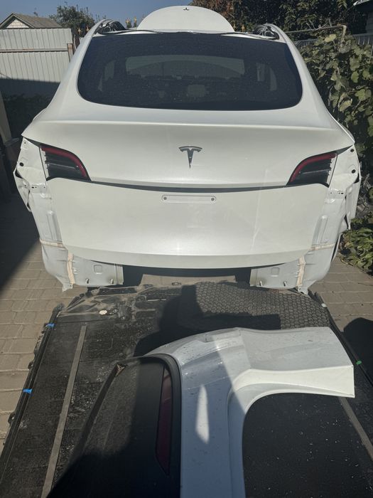 Ляда   model   Y