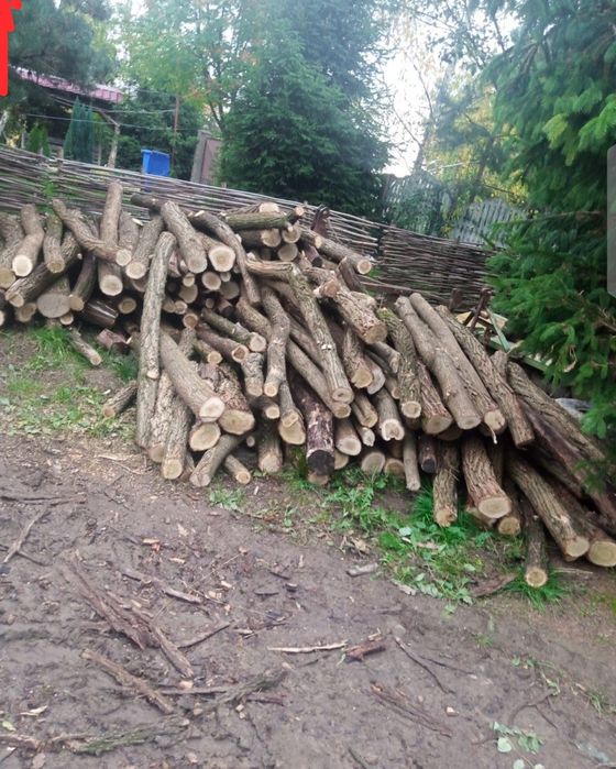 Акація дуб дрова