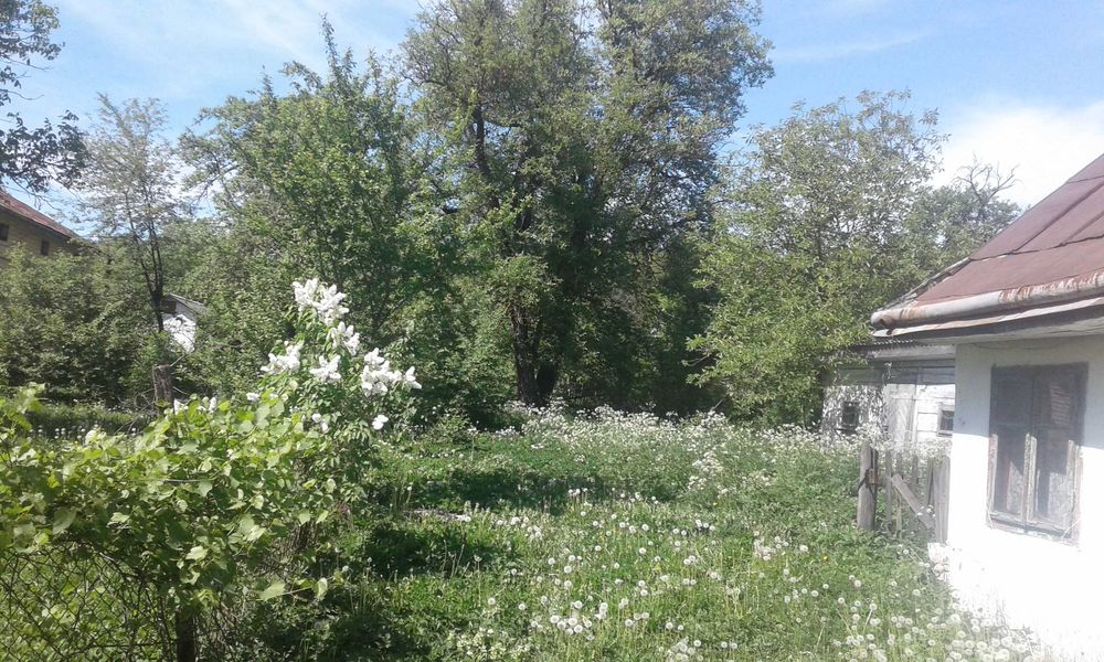 Земельна ділянка