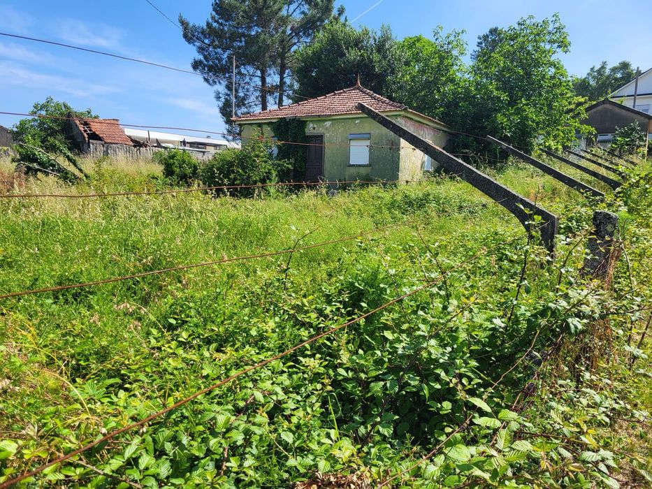 Terreno com 2 ruínas em Mazedo