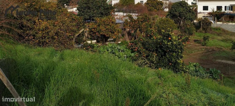 Lote urbano com 770 m2